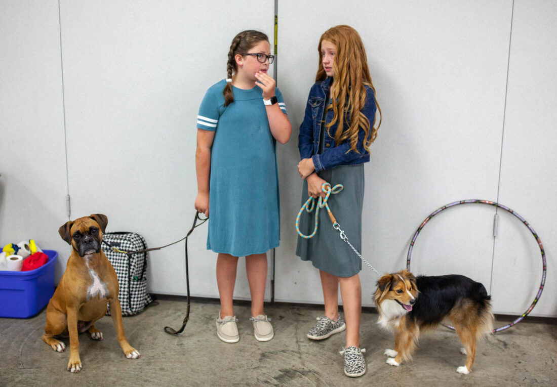 photos-4-h-members-show-their-dogs-at-douglas-county-fairgrounds